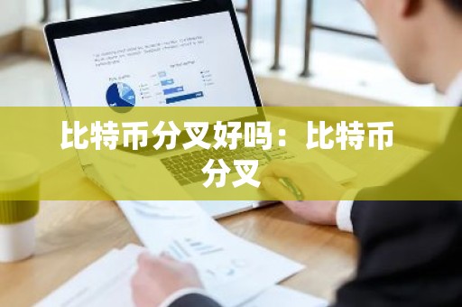 比特币分叉好吗：比特币 分叉