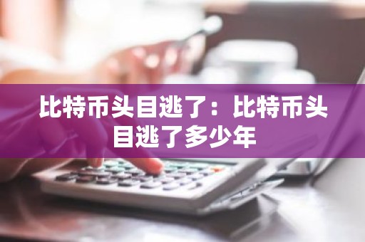 比特币头目逃了：比特币头目逃了多少年