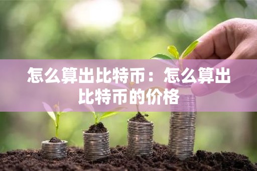怎么算出比特币：怎么算出比特币的价格