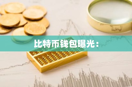 比特币钱包曝光：