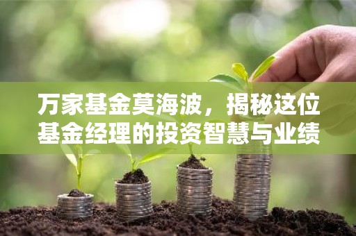 万家基金莫海波，揭秘这位基金经理的投资智慧与业绩表现