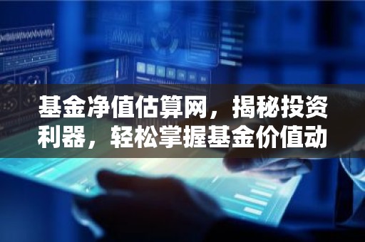 基金净值估算网，揭秘投资利器，轻松掌握基金价值动态！