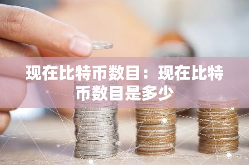现在比特币数目：现在比特币数目是多少