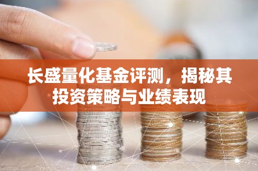 长盛量化基金评测，揭秘其投资策略与业绩表现