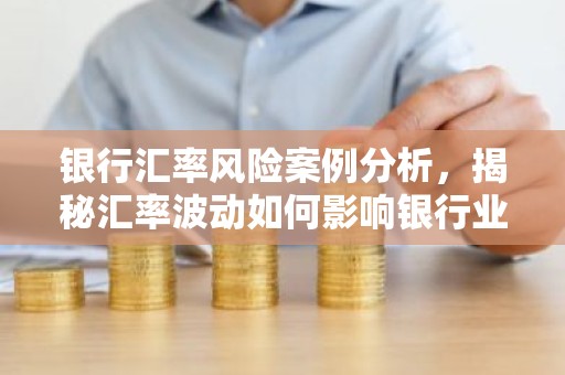 银行汇率风险案例分析，揭秘汇率波动如何影响银行业务