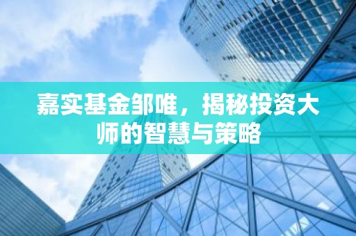 嘉实基金邹唯，揭秘投资大师的智慧与策略