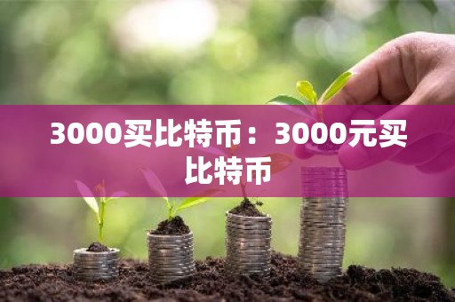 3000买比特币：3000元买比特币