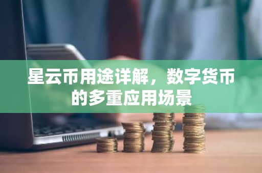 星云币用途详解，数字货币的多重应用场景