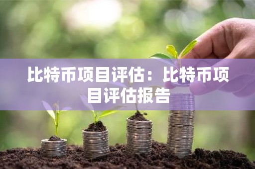 比特币项目评估：比特币项目评估报告