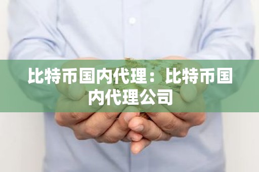 比特币国内代理：比特币国内代理公司