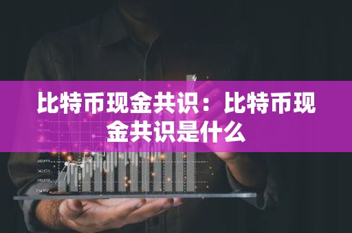 比特币现金共识：比特币现金共识是什么