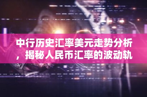 中行历史汇率美元走势分析，揭秘人民币汇率的波动轨迹