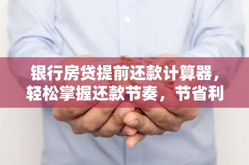 银行房贷提前还款计算器，轻松掌握还款节奏，节省利息支出！