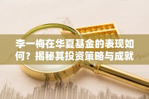 李一梅在华夏基金的表现如何？揭秘其投资策略与成就