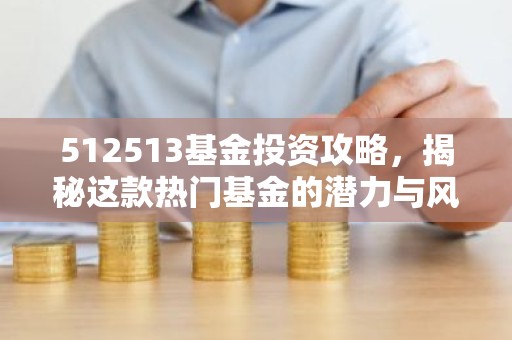 512513基金投资攻略，揭秘这款热门基金的潜力与风险