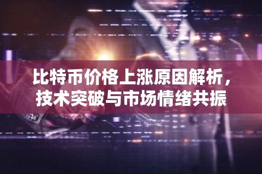 比特币价格上涨原因解析，技术突破与市场情绪共振
