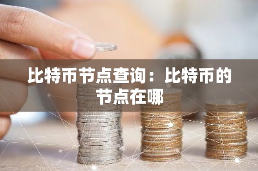 比特币节点查询：比特币的节点在哪