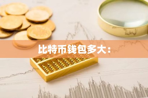 比特币钱包多大：