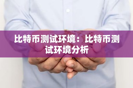 比特币测试环境：比特币测试环境分析