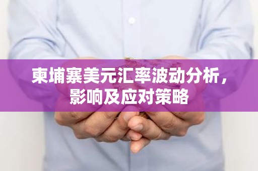 柬埔寨美元汇率波动分析，影响及应对策略