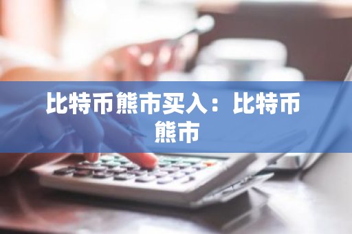 比特币熊市买入：比特币 熊市