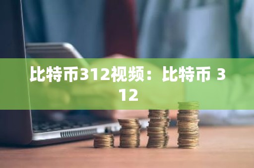比特币312视频：比特币 312