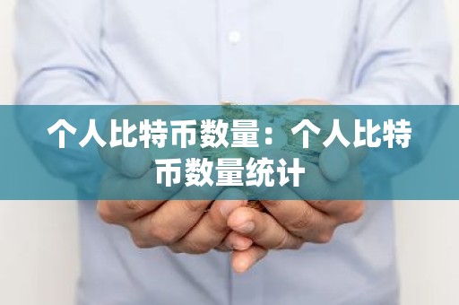 个人比特币数量：个人比特币数量统计