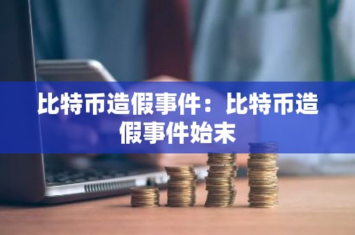 比特币造假事件：比特币造假事件始末