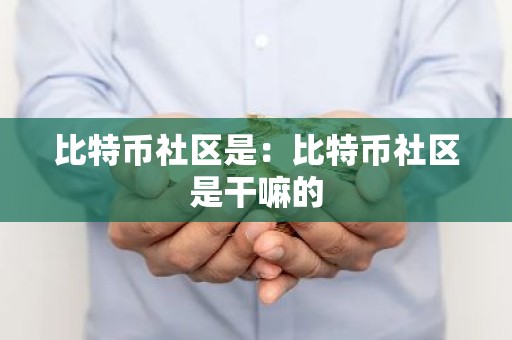 比特币社区是：比特币社区是干嘛的