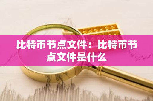 比特币节点文件：比特币节点文件是什么
