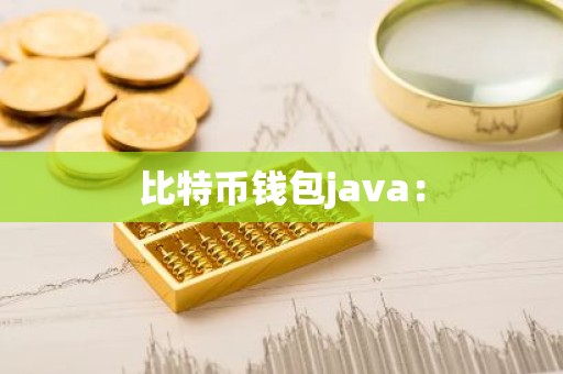 比特币钱包java：