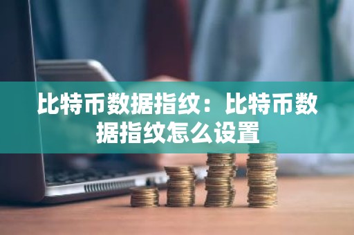 比特币数据指纹：比特币数据指纹怎么设置