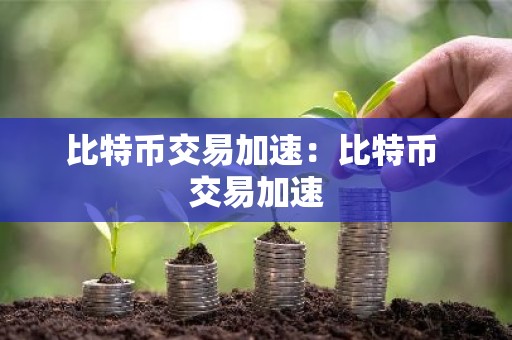 比特币交易加速：比特币 交易加速