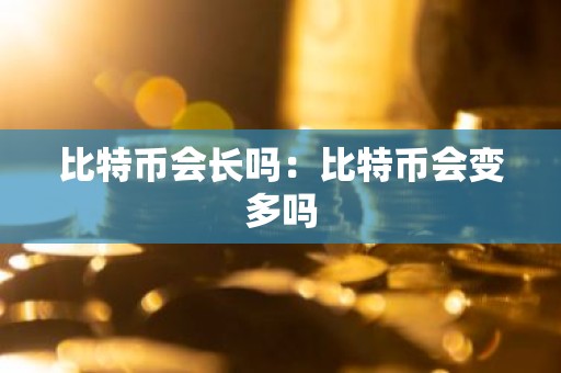 比特币会长吗：比特币会变多吗