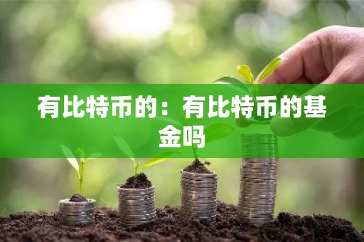 有比特币的：有比特币的基金吗