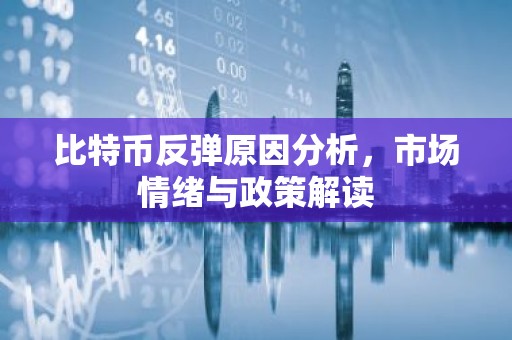 比特币反弹原因分析，市场情绪与政策解读