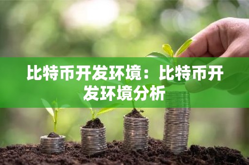 比特币开发环境：比特币开发环境分析