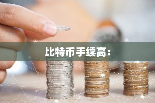 比特币手续高：