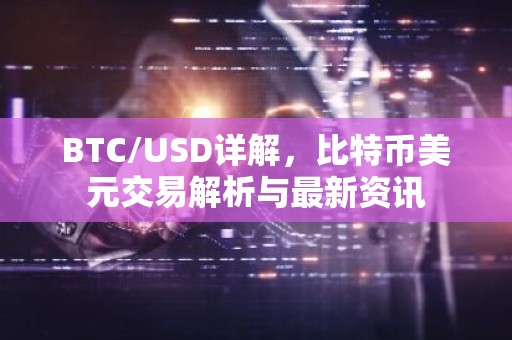 BTC/USD详解，比特币美元交易解析与最新资讯