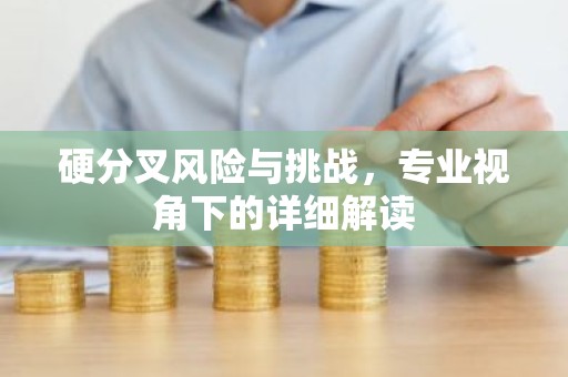 硬分叉风险与挑战，专业视角下的详细解读