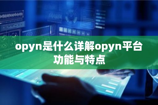 opyn是什么详解opyn平台功能与特点