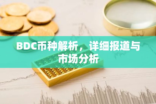 BDC币种解析，详细报道与市场分析