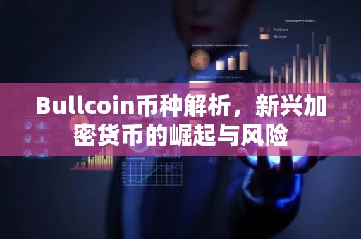 Bullcoin币种解析，新兴加密货币的崛起与风险