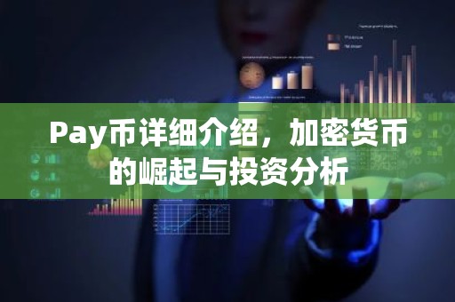 Pay币详细介绍，加密货币的崛起与投资分析