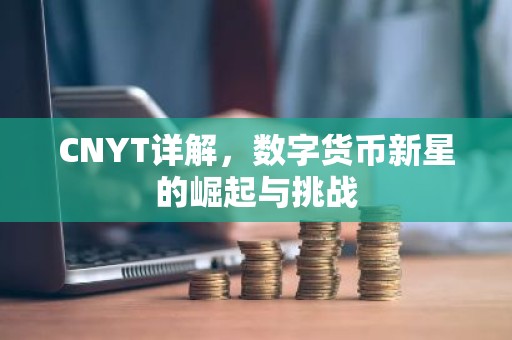 CNYT详解，数字货币新星的崛起与挑战