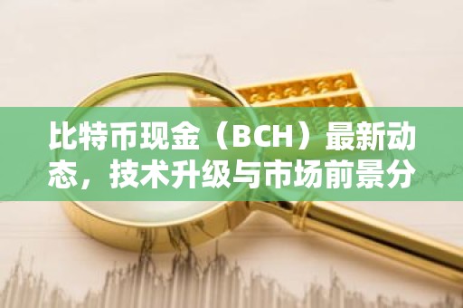 比特币现金（BCH）最新动态，技术升级与市场前景分析