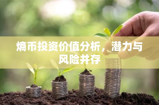 熵币投资价值分析，潜力与风险并存