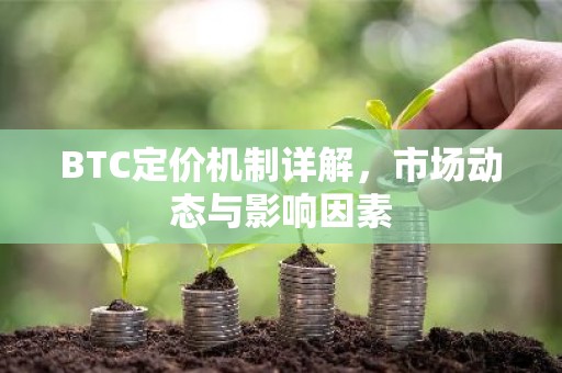 BTC定价机制详解，市场动态与影响因素