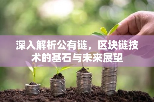 深入解析公有链，区块链技术的基石与未来展望