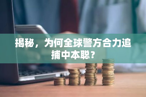 揭秘，为何全球警方合力追捕中本聪？